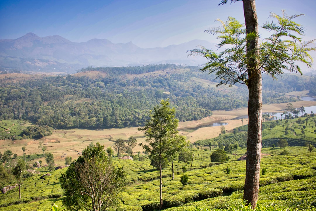 Munnar: A Paradise Among the Tea Plantations - Munnar | Secret World Trip Planner
