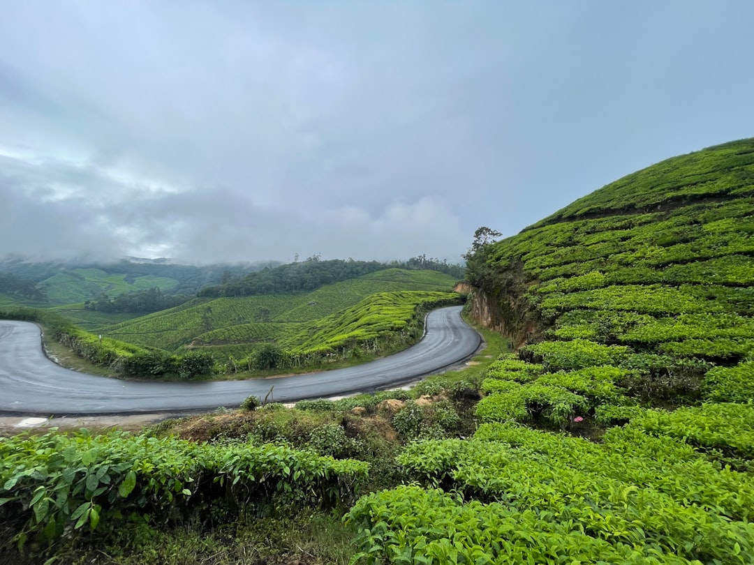 Munnar: Ein Paradies zwischen Teeplantagen - Munnar | Secret World Trip Planner