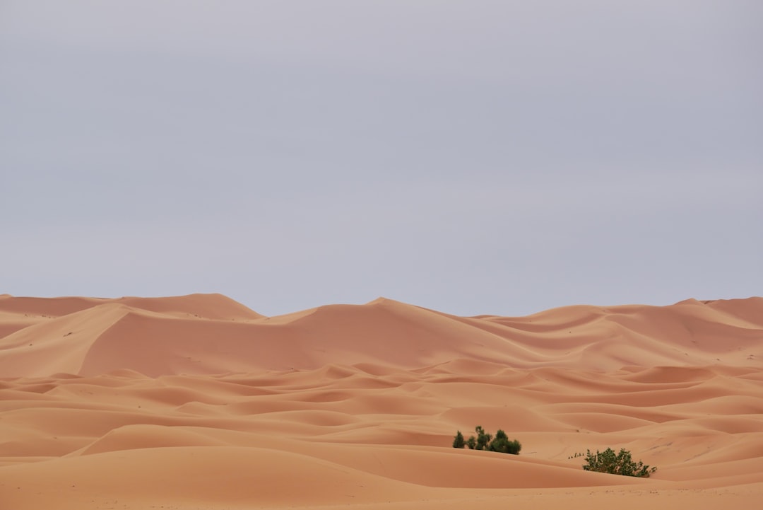Merzouga: Magia y Silencio en el Desierto del Sahara - Merzouga | Secret World Trip Planner