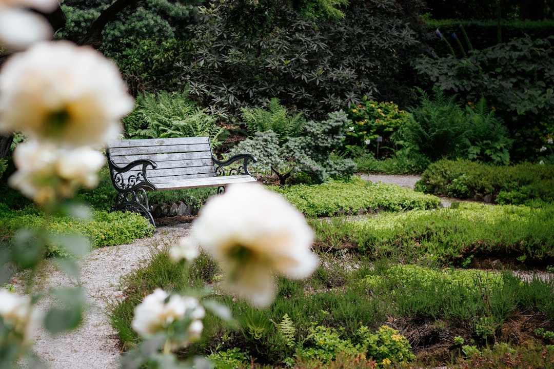 Scopri il Parco Giardino Sigurtà: un Paradiso Verde - 1 | Secret World Trip Planner