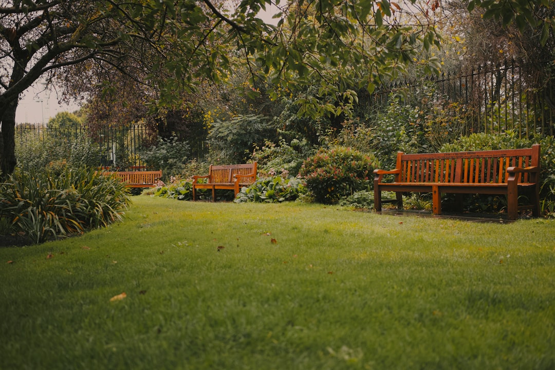 Scopri il Parco Giardino Sigurtà: un Paradiso Verde - 1 | Secret World Trip Planner