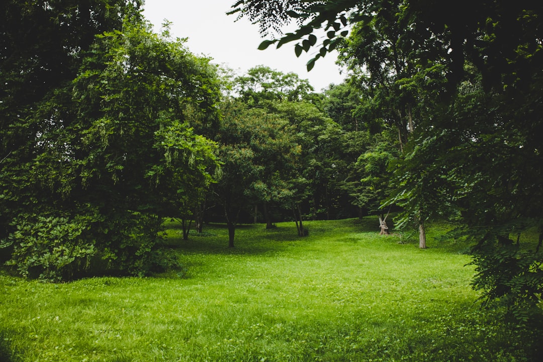 Scopri il Parco Giardino Sigurtà: un Paradiso Verde - 1 | Secret World Trip Planner