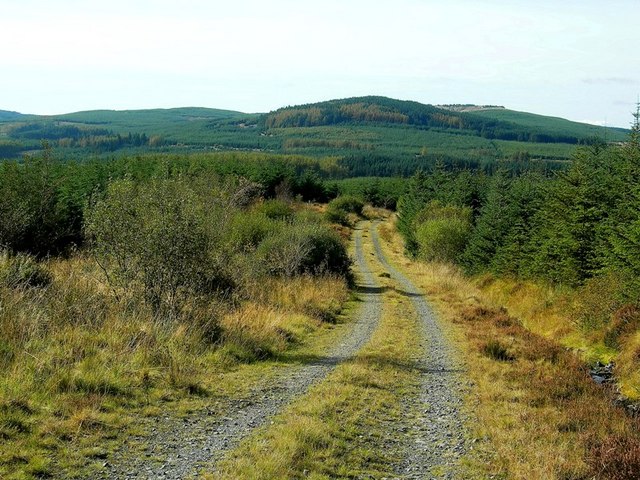 Galloway Forest Park: Un Paraíso para los Observadores de Estrellas - Creebridge | Secret World Trip Planner