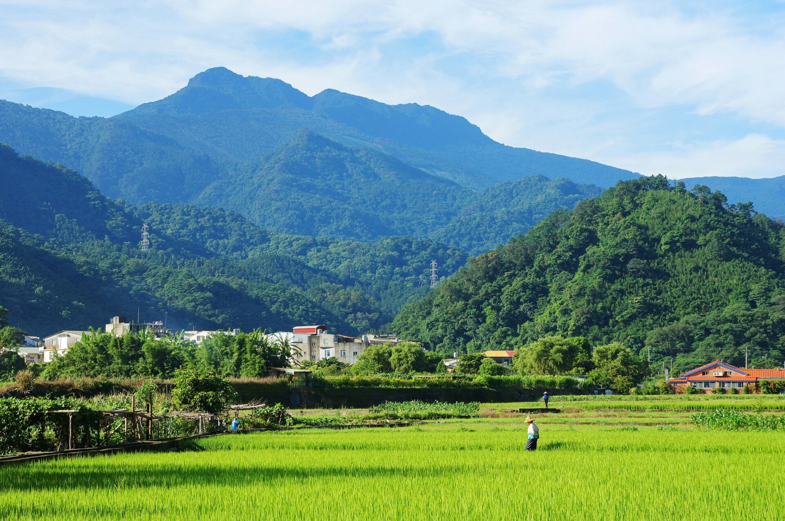 Entdecken Sie die Magie des Jialishan-Gebirges in Taiwan - Meiyuan Village | Secret World Trip Planner