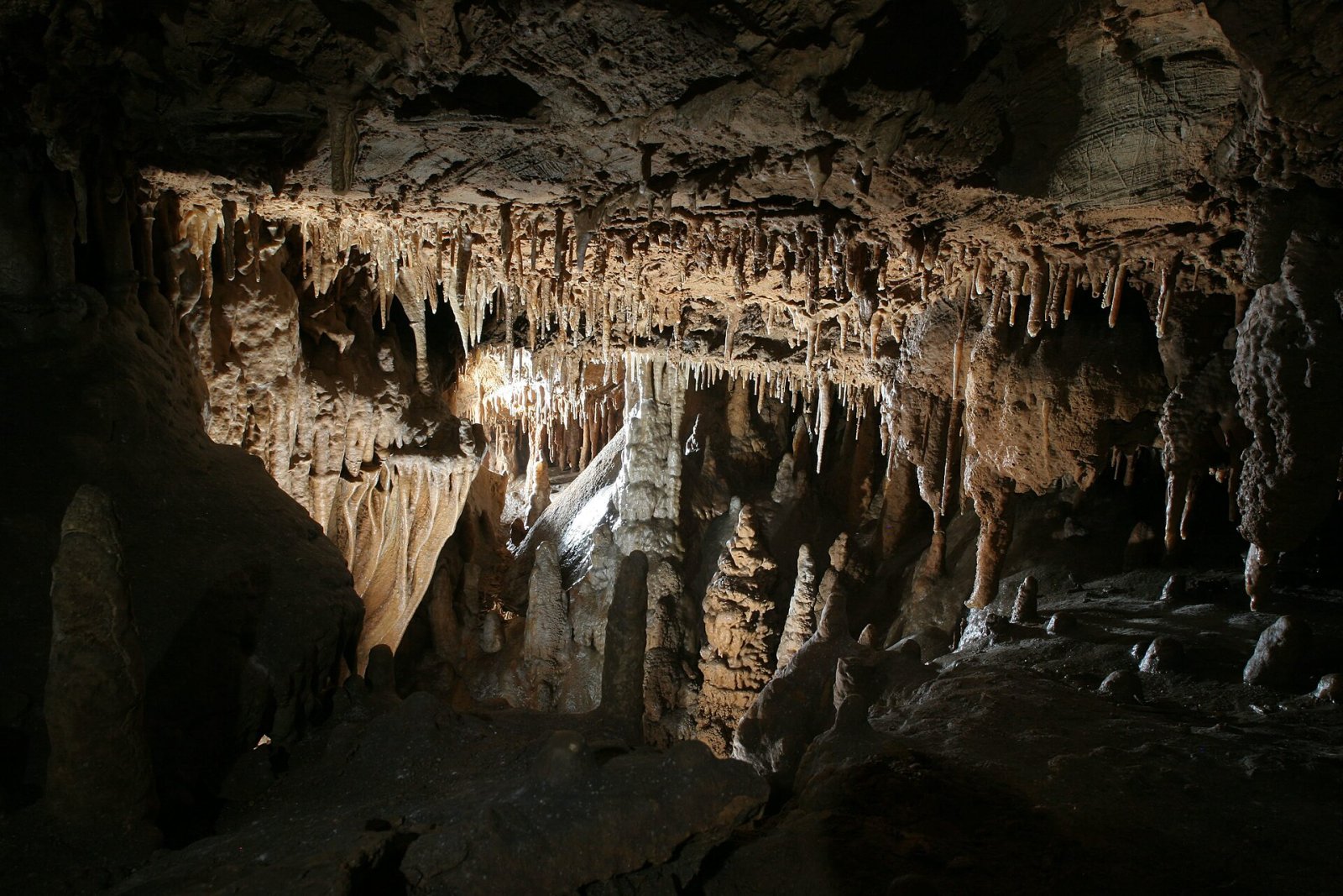 Entdecken Sie die Magie der Nodong-Höhle in Südkorea - Danyang-gun | Secret World Trip Planner