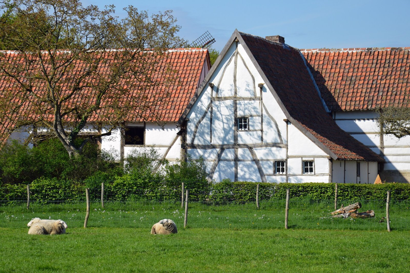 Entdecken Sie das Bokrijk Freilichtmuseum in Genk: eine Reise in die Vergangenheit - Heiblok 11 | Secret World Trip Planner