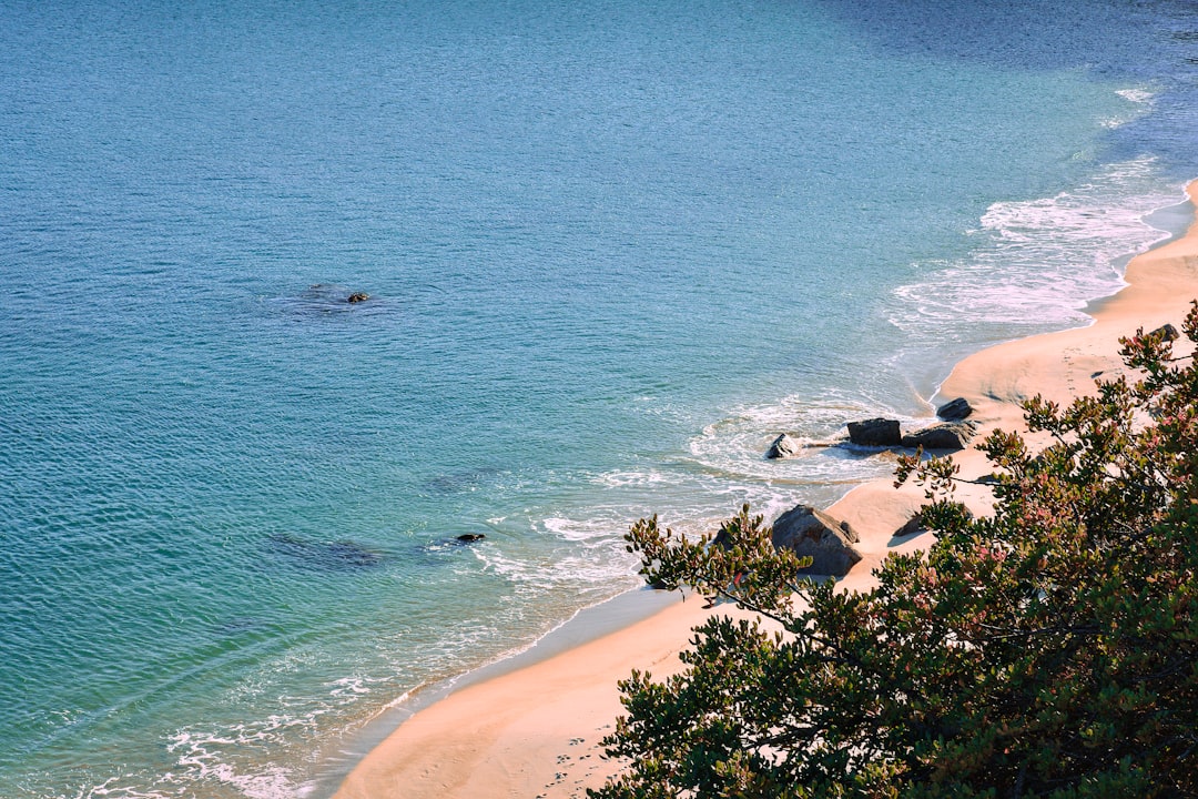 Discover the Beauty of the Arrábida Natural Park