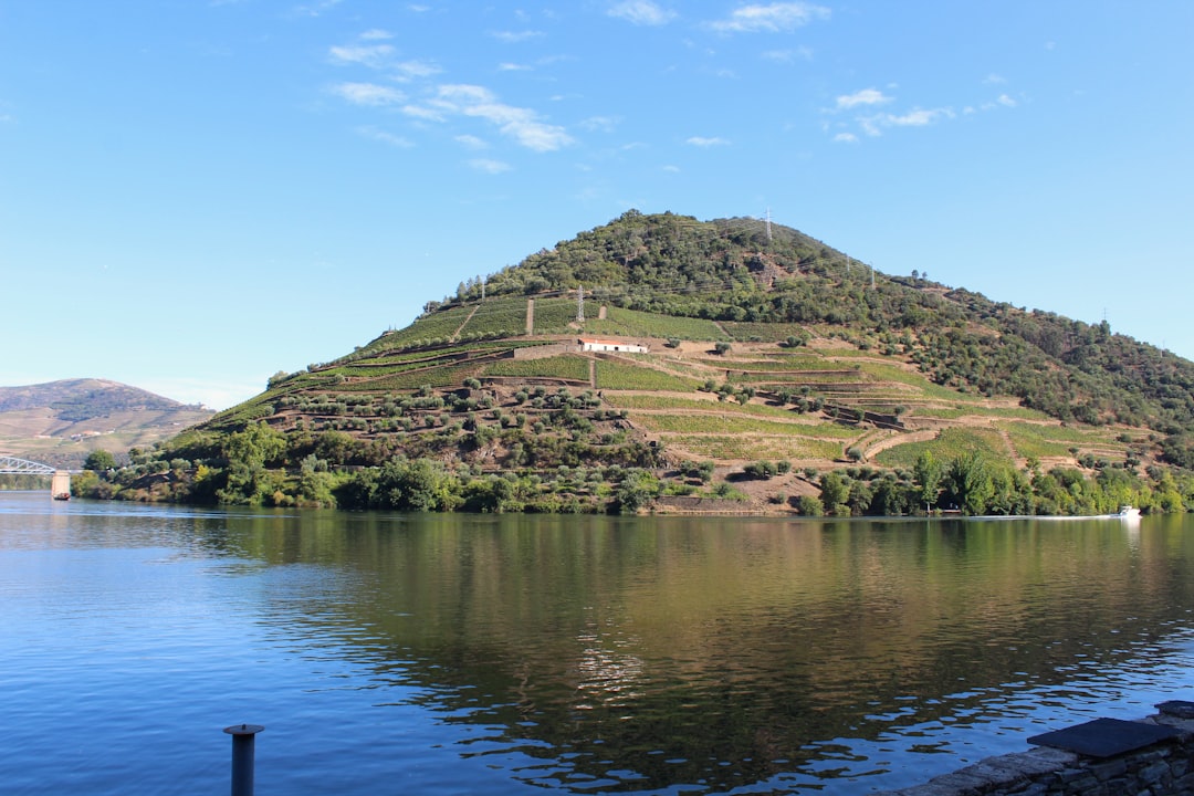 Entdecken Sie die Magie der Douro Valley Weinregion in Pinhão