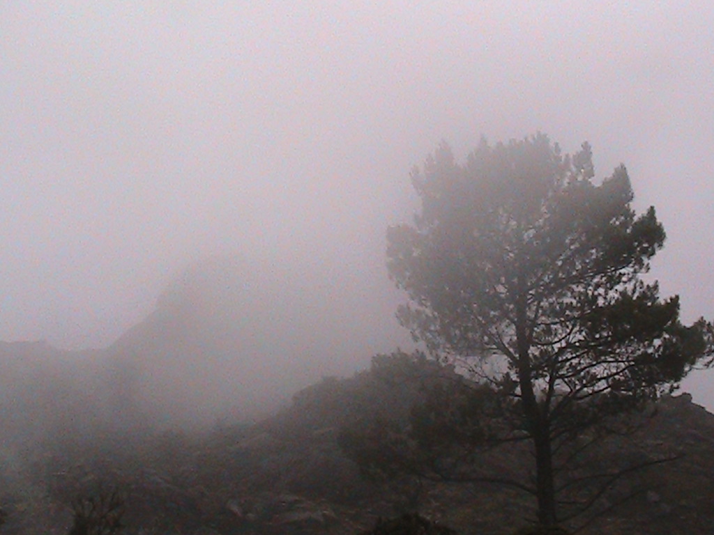 Explore Peneda-Gerês National Park in Portugal | Secret World Trip Planner