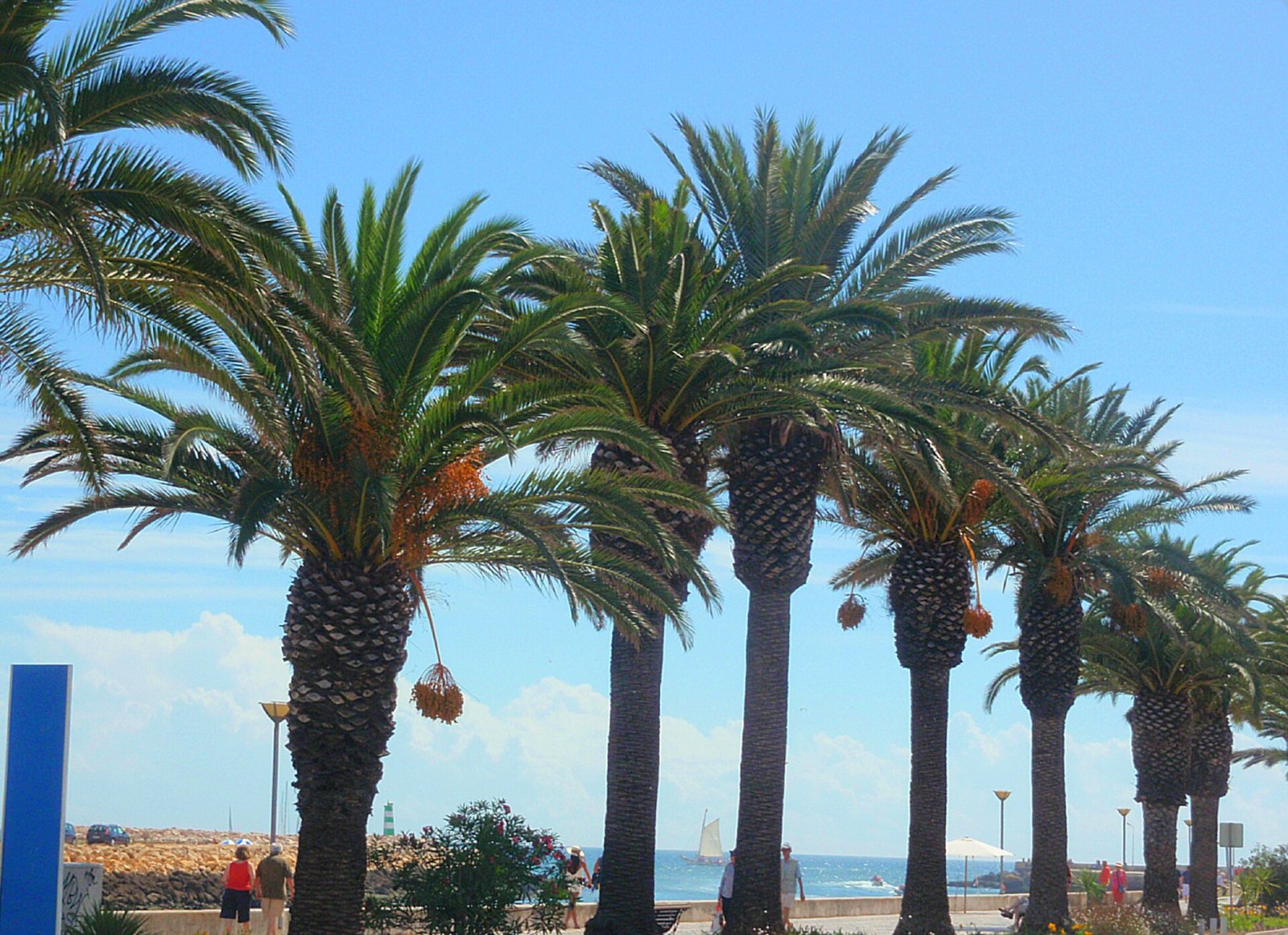 Découvrez le charme de l'Algarve à Lagos : nature et aventure | Secret World Trip Planner