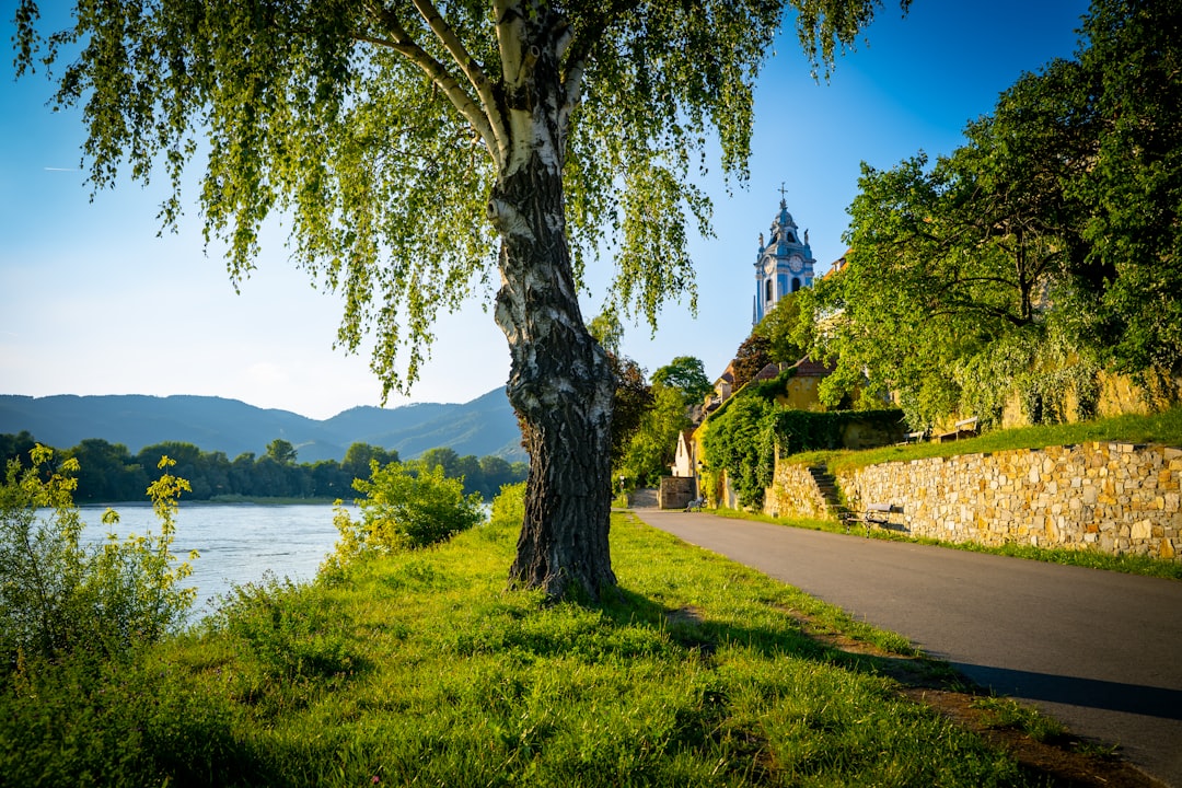 Scopri la Valle di Wachau: un gioiello dell'Austria - Mautern an der Donau | Secret World Trip Planner