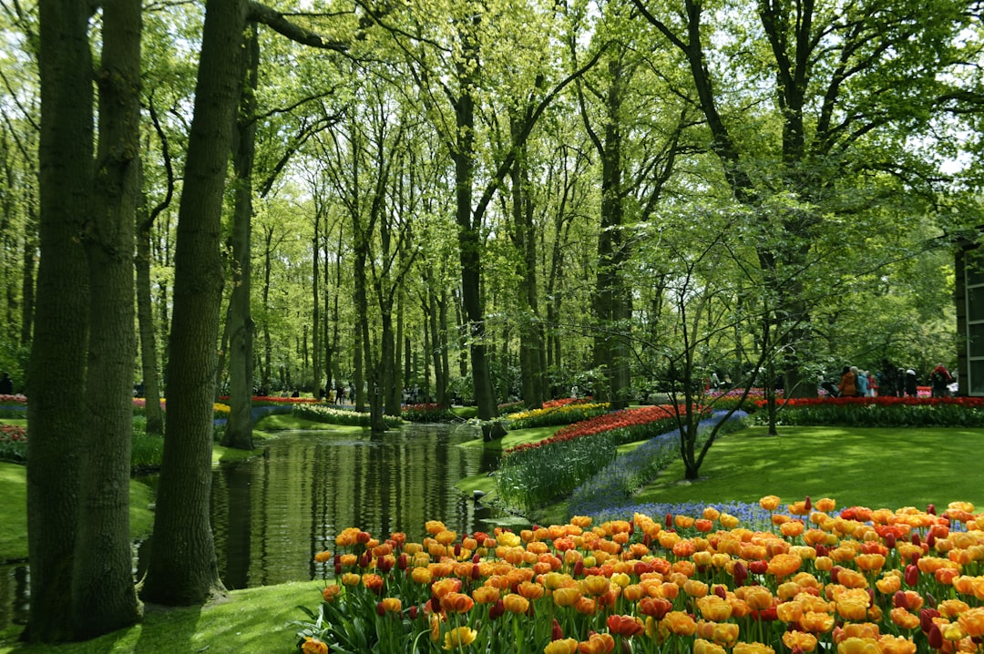 Descubre la Magia de los Jardines de Keukenhof en Lisse - Lisse | Secret World Trip Planner