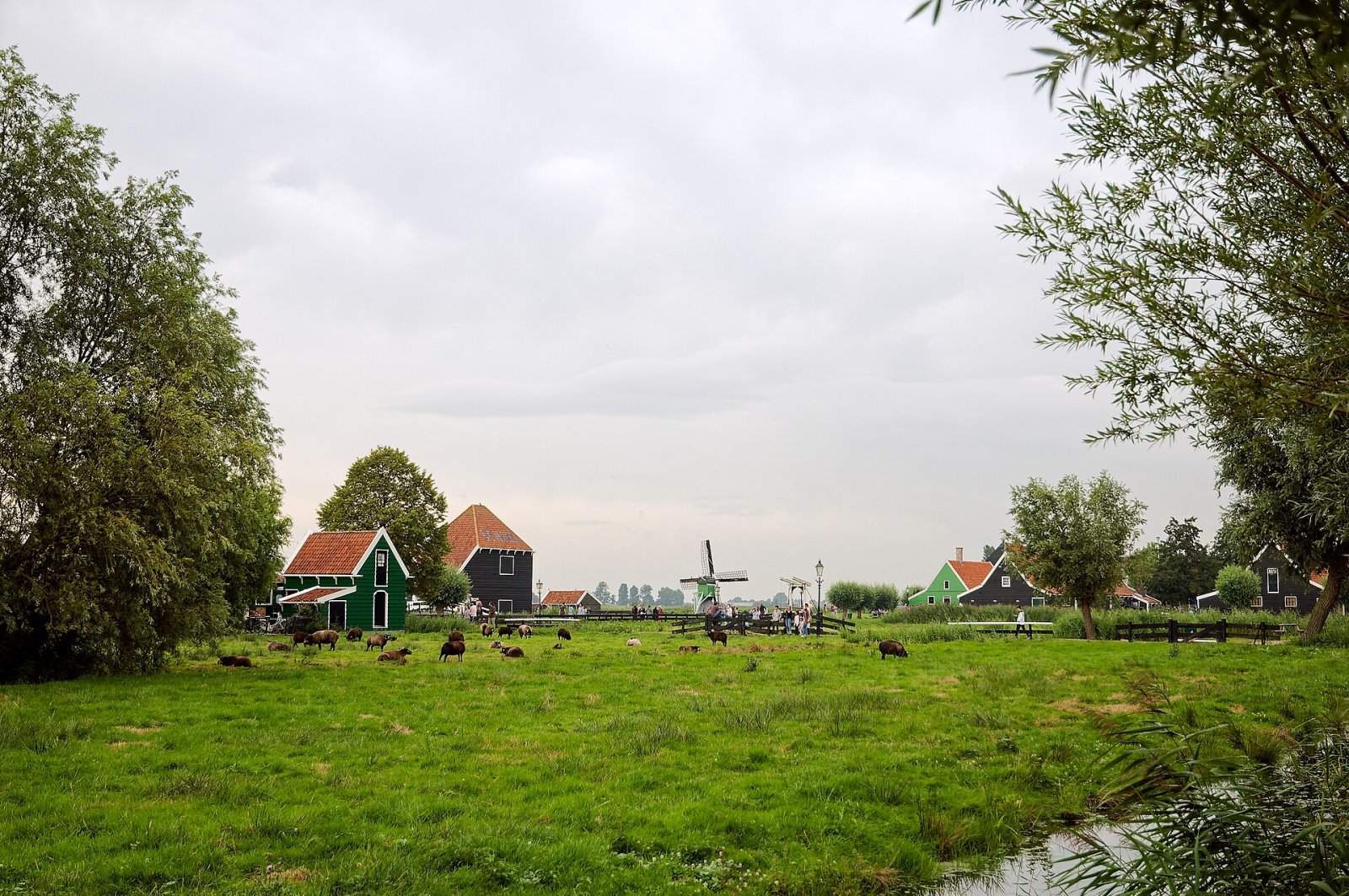 Scopri Zaanse Schans: un gioiello della cultura olandese - Zaandam | Secret World Trip Planner