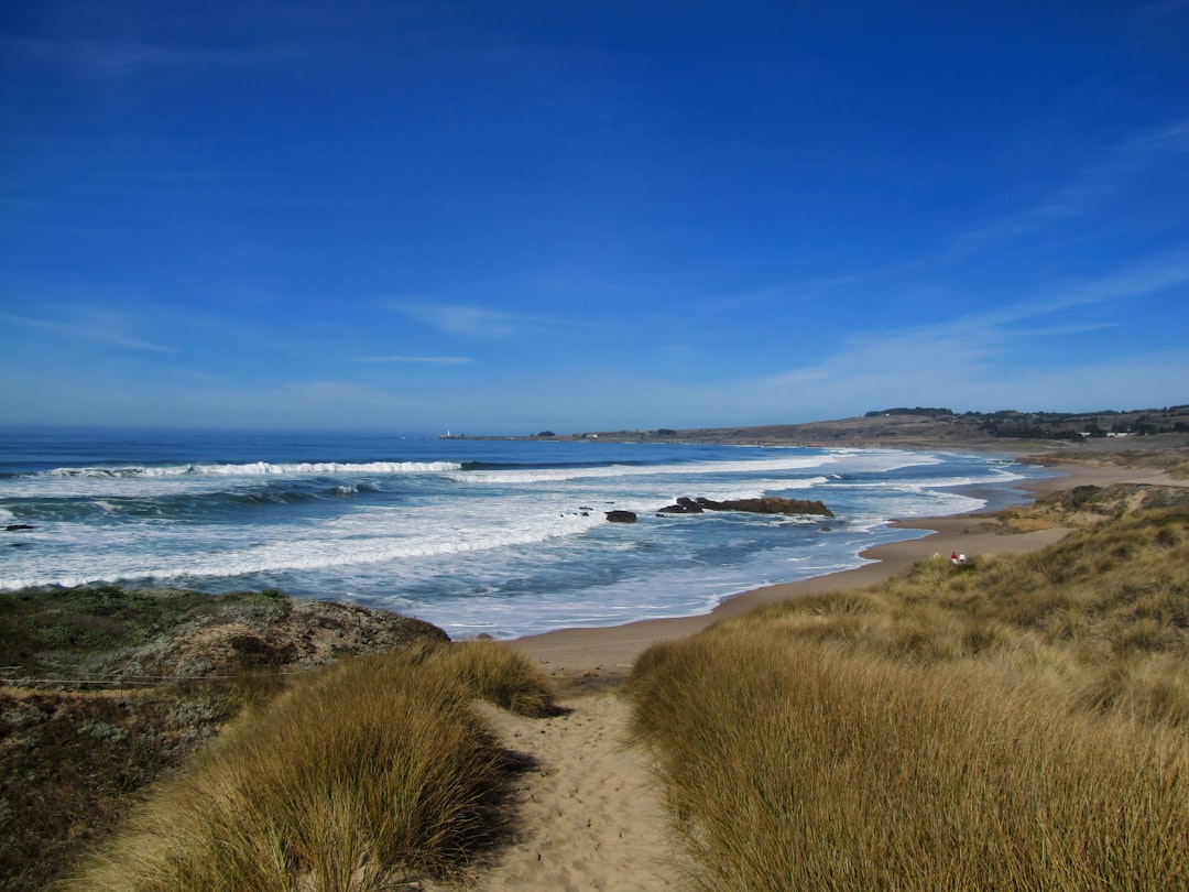 El Faro de Pigeon Point: Historia de California - Pescadero | Secret World Trip Planner