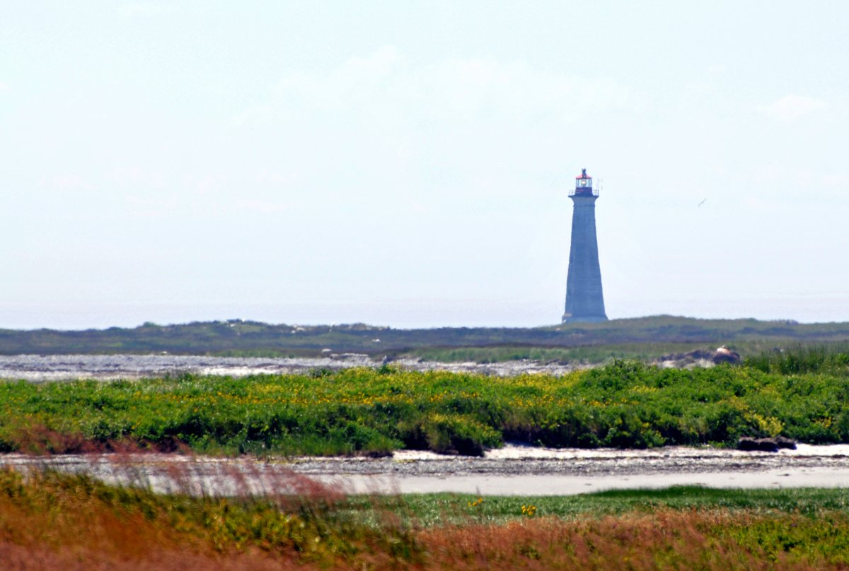 Bellezza Selvatica al Faro di Cape Sable - The Hawk | Secret World Trip Planner