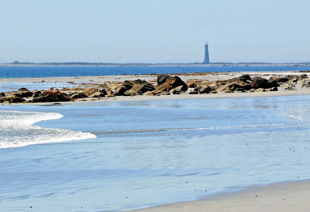 Belleza Salvaje en el Faro de Cape Sable — The Hawk