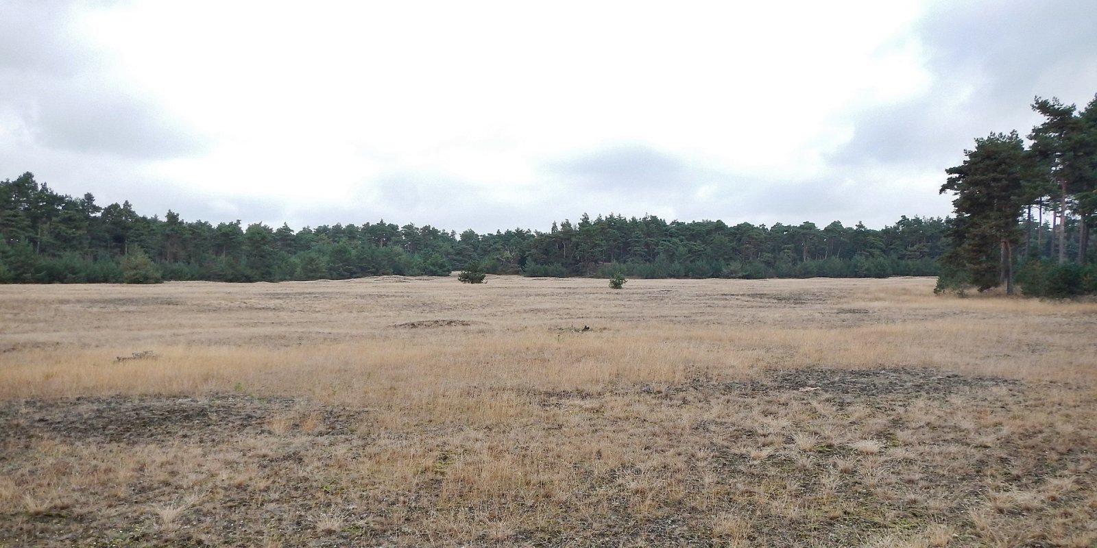 Entdecken Sie die Schönheit des Nationalparks Hoge Veluwe - Otterlo | Secret World Trip Planner