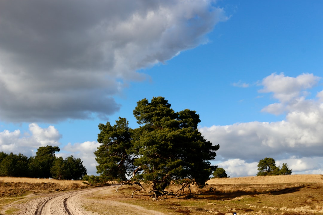 Descubre la belleza del Parque Nacional Hoge Veluwe - Otterlo | Secret World Trip Planner