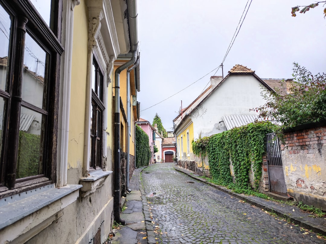 Scopri Szentendre: il Villaggio degli Artisti in Ungheria - Szentendre | Secret World Trip Planner