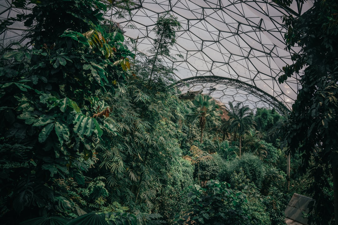 Descubre el Eden Project: un viaje entre naturaleza y cultura en Inglaterra - 9P5V+VV Mettet | Secret World Trip Planner