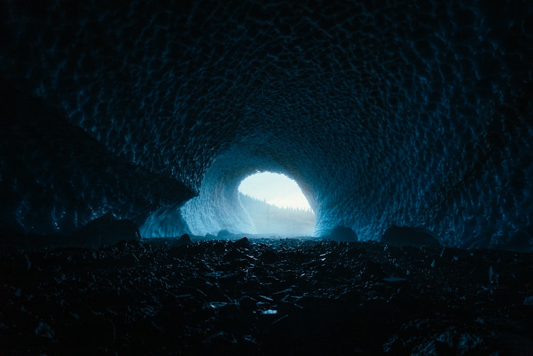 Découvrez les Grottes de Waitomo : Un Monde Magique - Waitomo Caves | Secret World Trip Planner