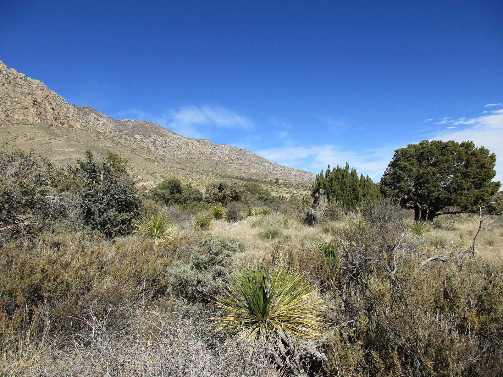 Parc national des Guadalupe Mountains : un trésor naturel du Texas - Mianyang | Secret World Trip Planner