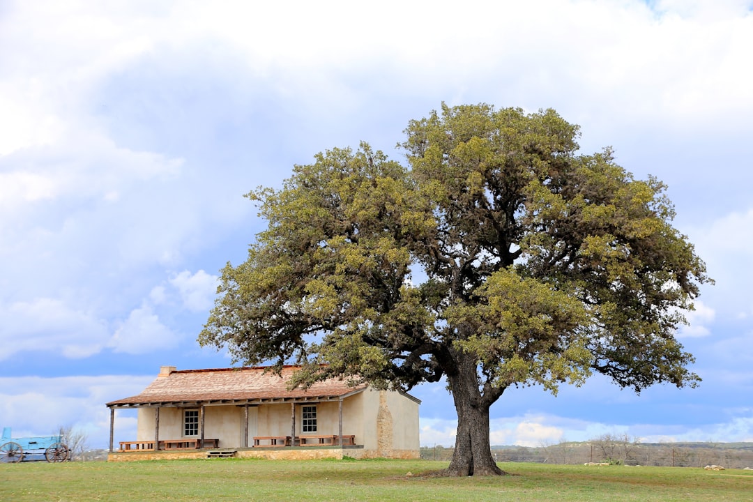 Scopri il Texas Hill Country: Un Viaggio a Fredericksburg - Chamdo | Secret World Trip Planner