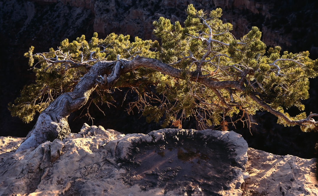 Couchers de soleil époustouflants à Mather Point - Grand Canyon Village | Secret World Trip Planner