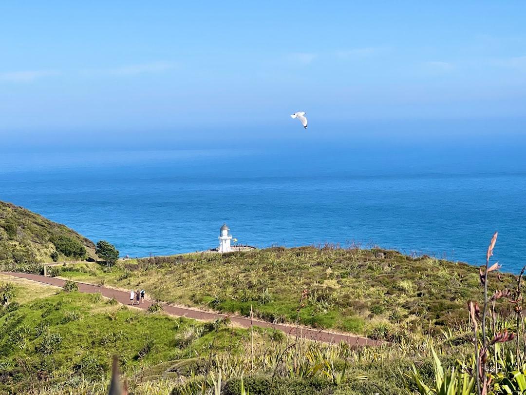 Leuchtturm von Cape Reinga: Wo die Meere sich treffen - Capo Reinga 0484 | Secret World Trip Planner