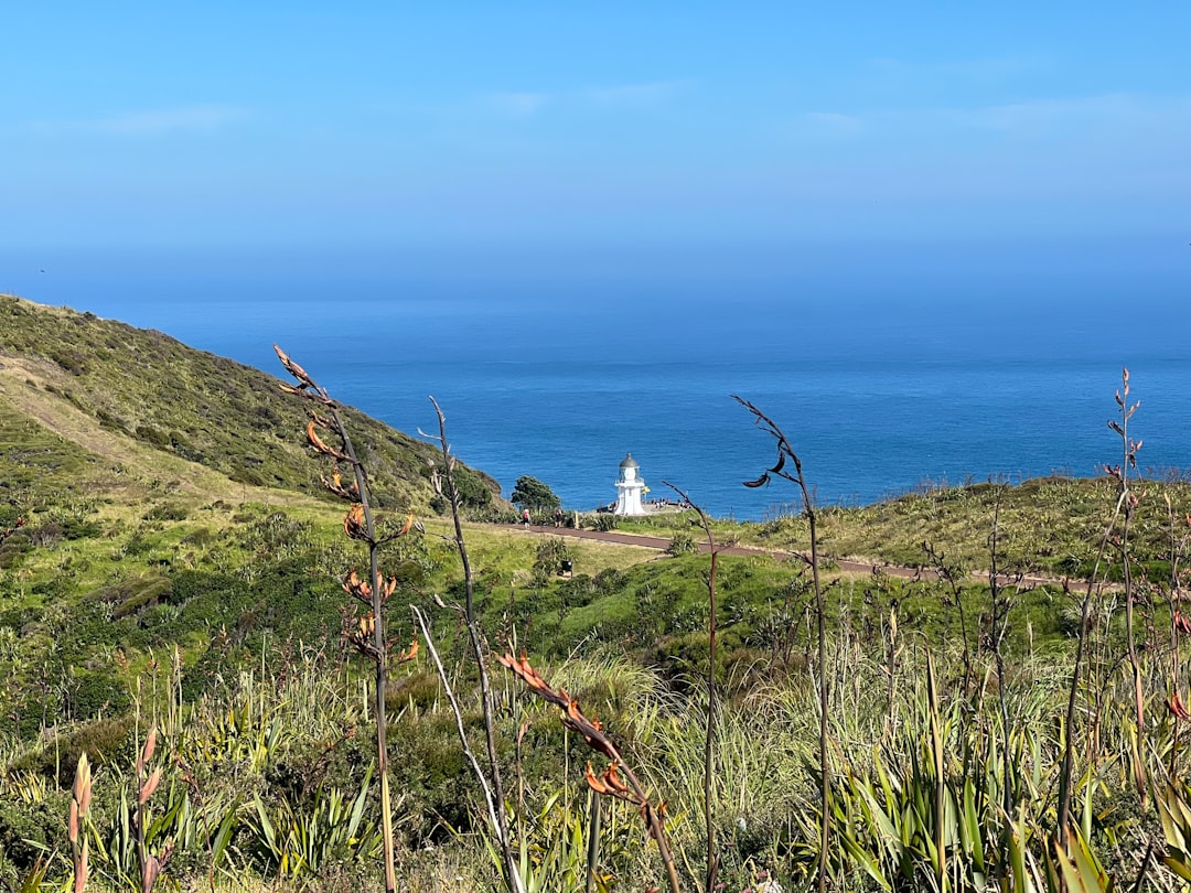 Leuchtturm von Cape Reinga: Wo die Meere sich treffen - Capo Reinga 0484 | Secret World Trip Planner