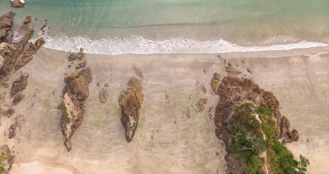 Dream Beaches: Discover Waiheke Island, New Zealand - Isola Waiheke | Secret World Trip Planner