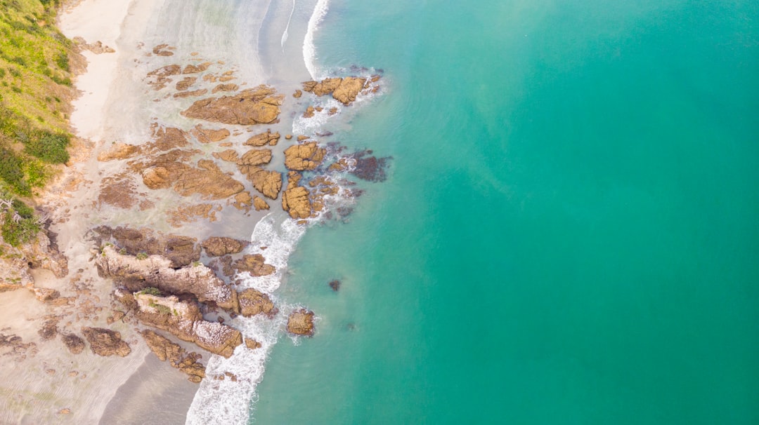 Plages de Rêve : L'Île Waiheke en Nouvelle-Zélande - Isola Waiheke | Secret World Trip Planner