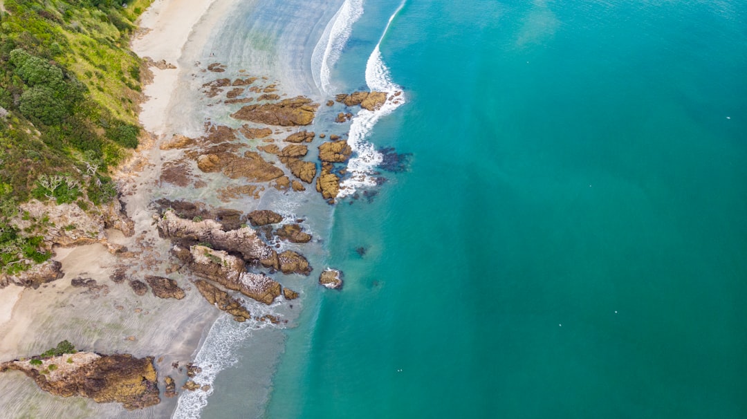 Playas de Ensueño: La Isla Waiheke en Nueva Zelanda - Isola Waiheke | Secret World Trip Planner