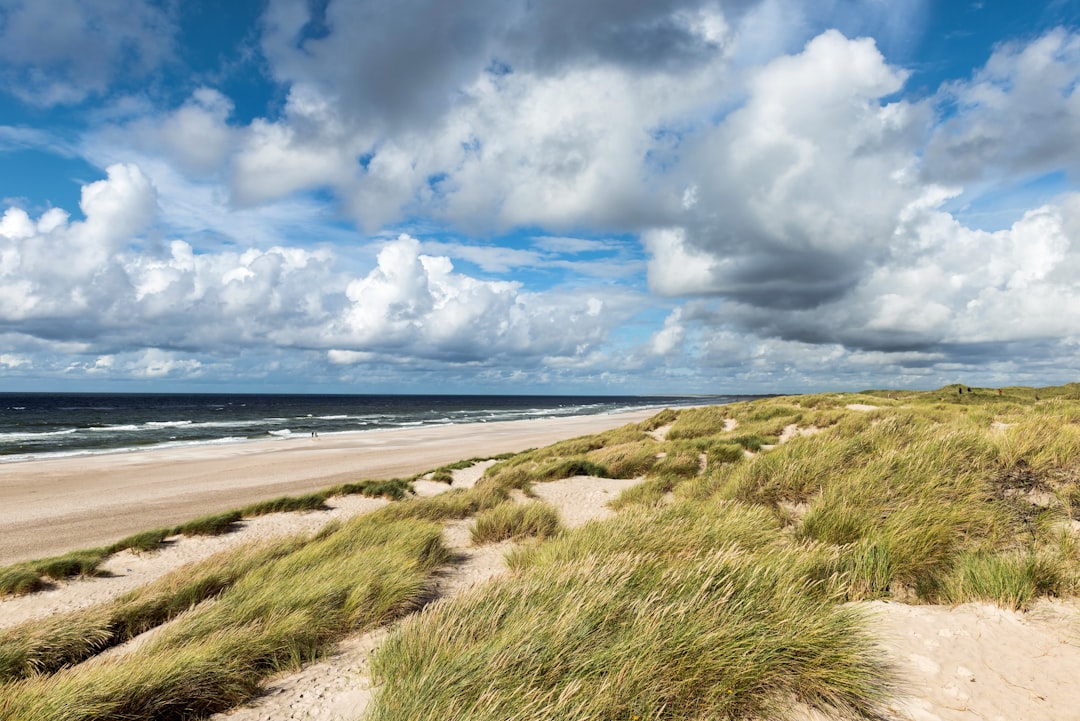 Ravnebjerg: Ein Naturparadies in Dänemark - Hovedvejen 87 | Secret World Trip Planner