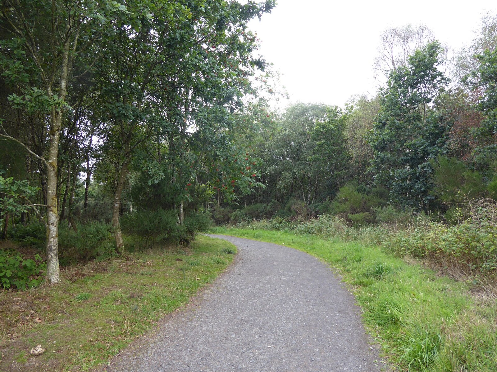 Moncreiffe Hill: un angolo di natura in Scozia - Perth and Kinross | Secret World Trip Planner