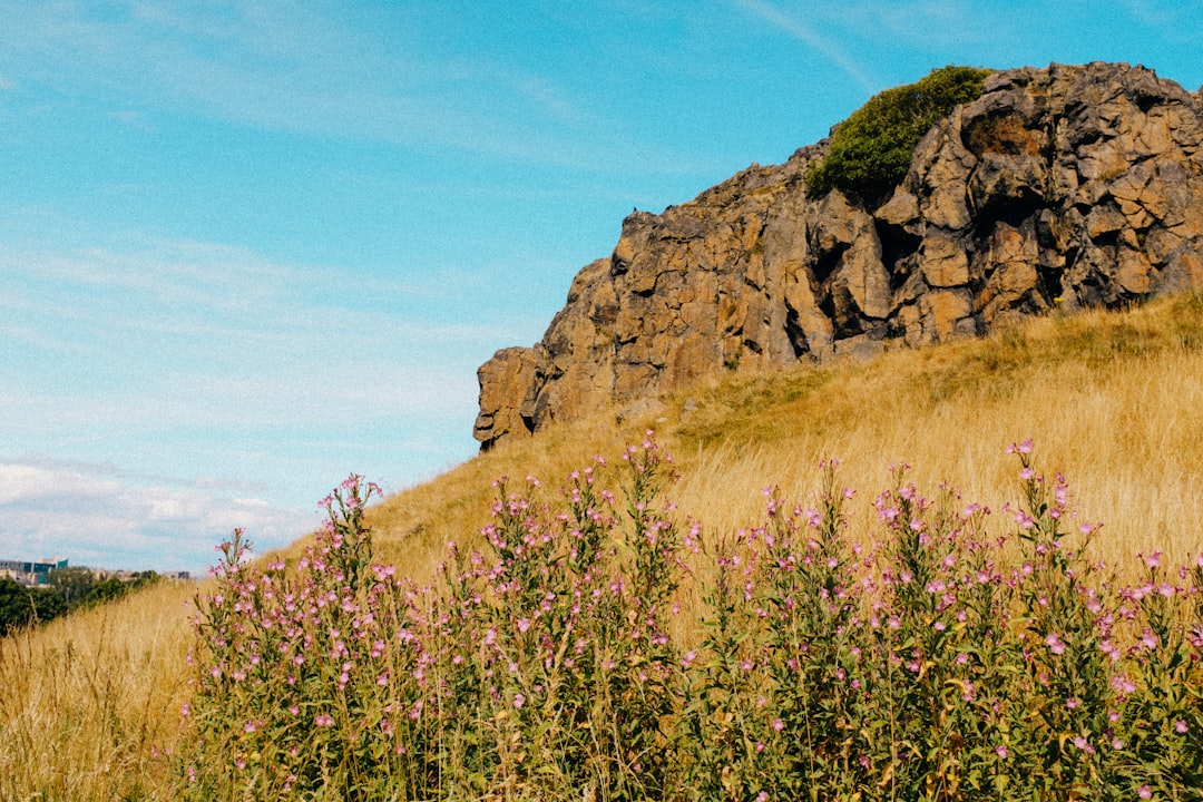 Arthur's Seat: il vulcano estinto di Edimburgo da esplorare - WRVQ+J7 Edinburgh | Secret World Trip Planner
