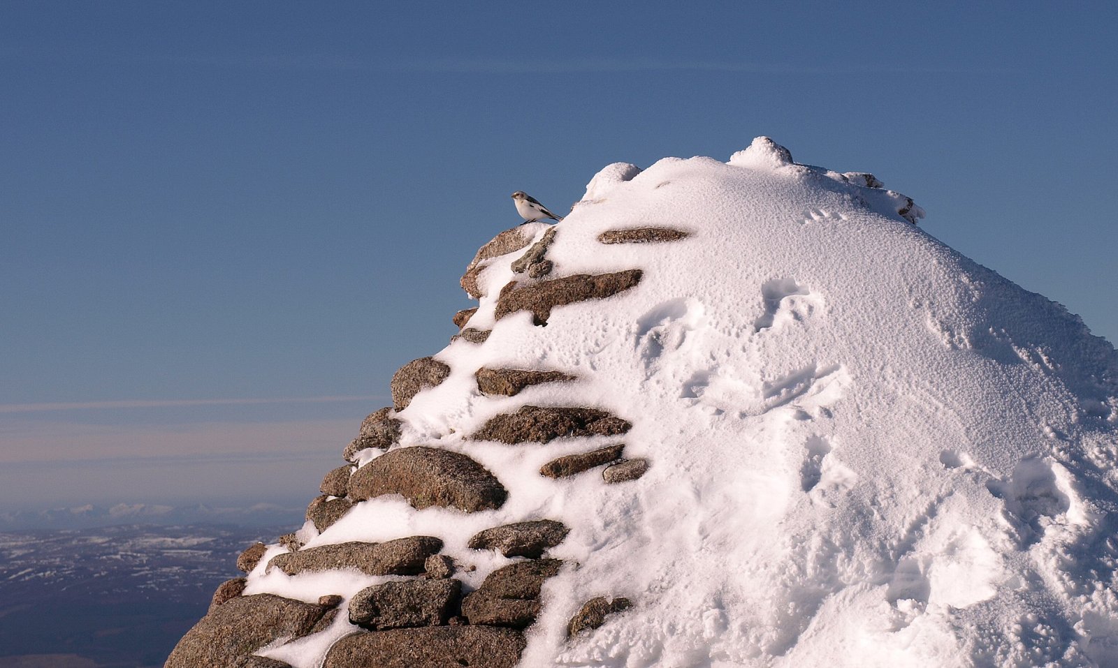Cairn Gorm: La Montaña Icónica de las Tierras Altas Escocesas - Highland Council | Secret World Trip Planner