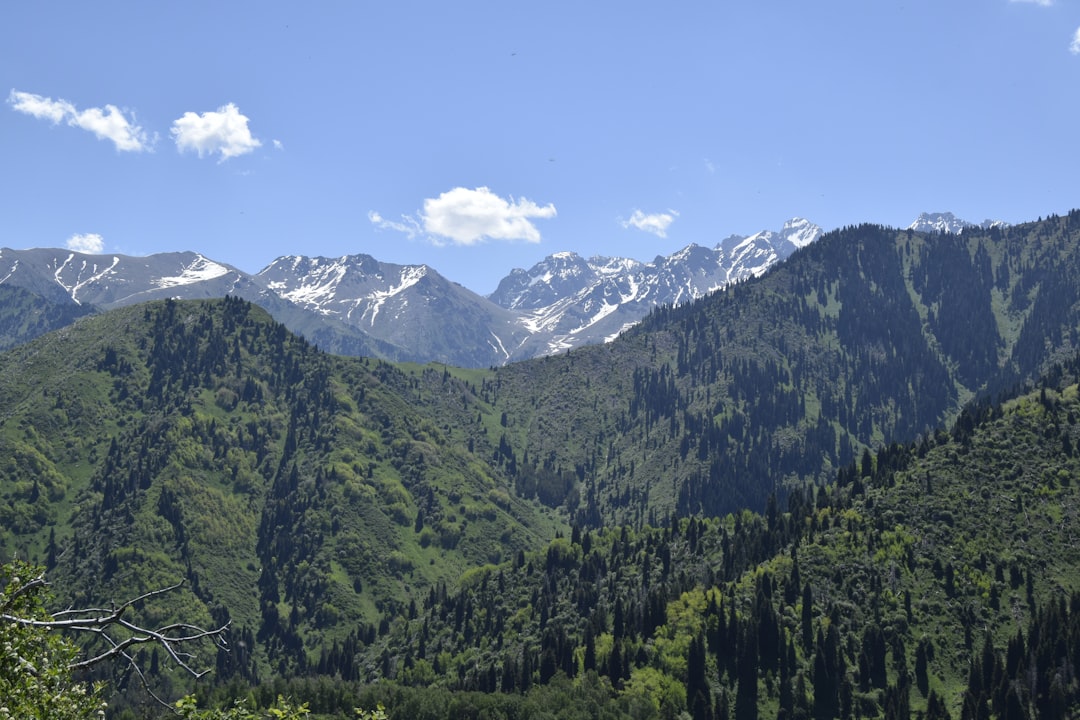Scoprire Almaty: Il Mercato Verde e le sue Meraviglie - Almaty | Secret World Trip Planner