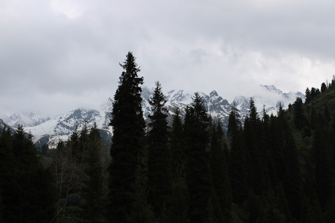 Descubre Almaty: El Mercado Verde y sus Maravillas - Almaty | Secret World Trip Planner