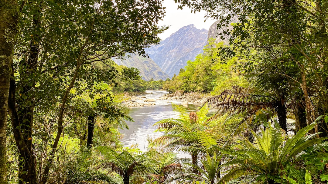 Milford Track: O Caminho dos Fiordes da Nova Zelândia - Milford Track | Secret World Trip Planner