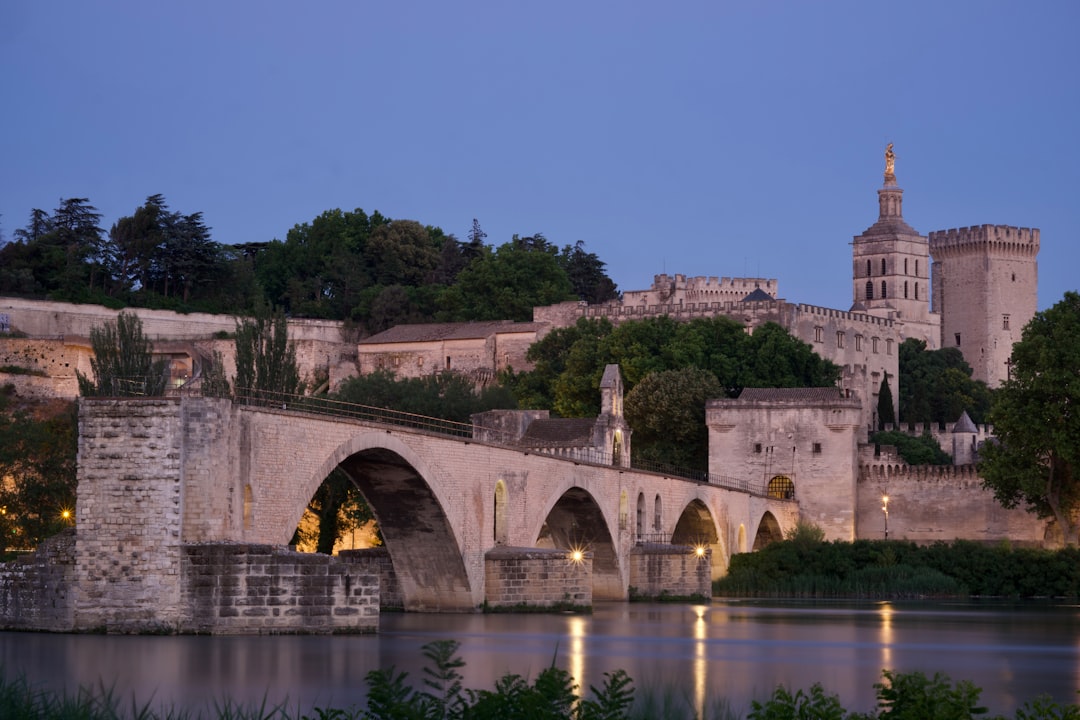 Pont Vieux : Le Pont Caché d'Albi - Pont Vieux | Secret World Trip Planner