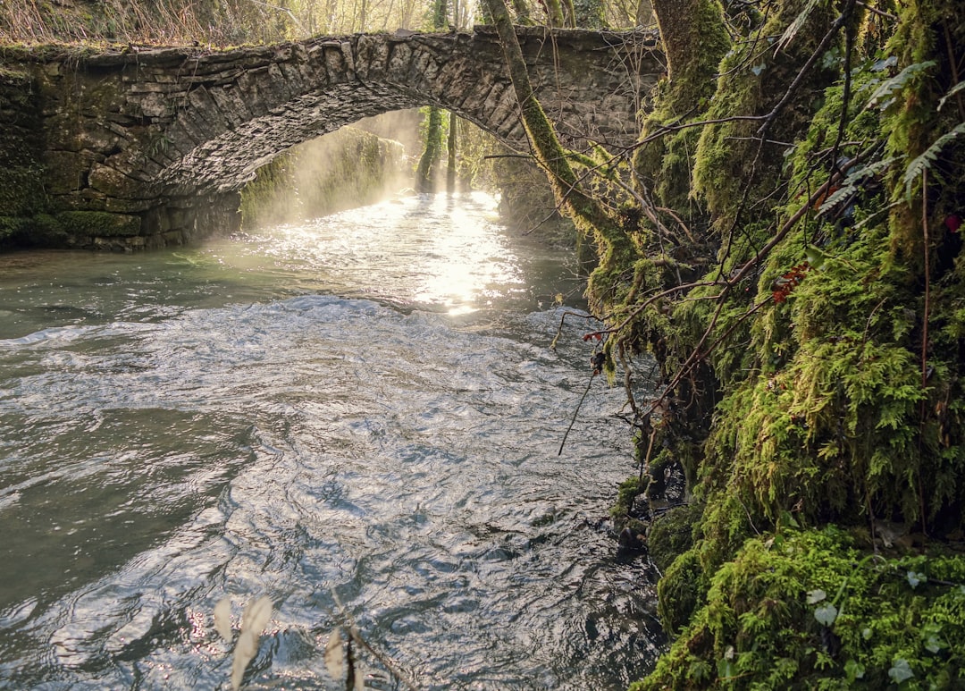 Pont Vieux: El Puente Oculto de Albi - Pont Vieux | Secret World Trip Planner