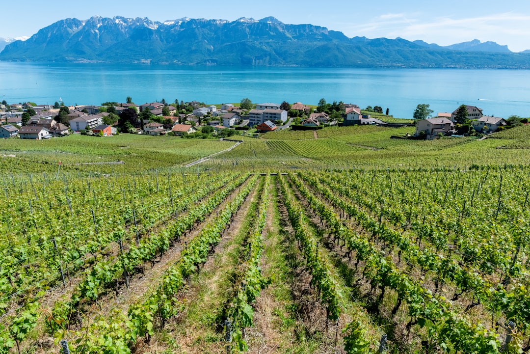 Château d'Ouchy: Un gioiello nascosto in Svizzera - Pl. du Port | Secret World Trip Planner