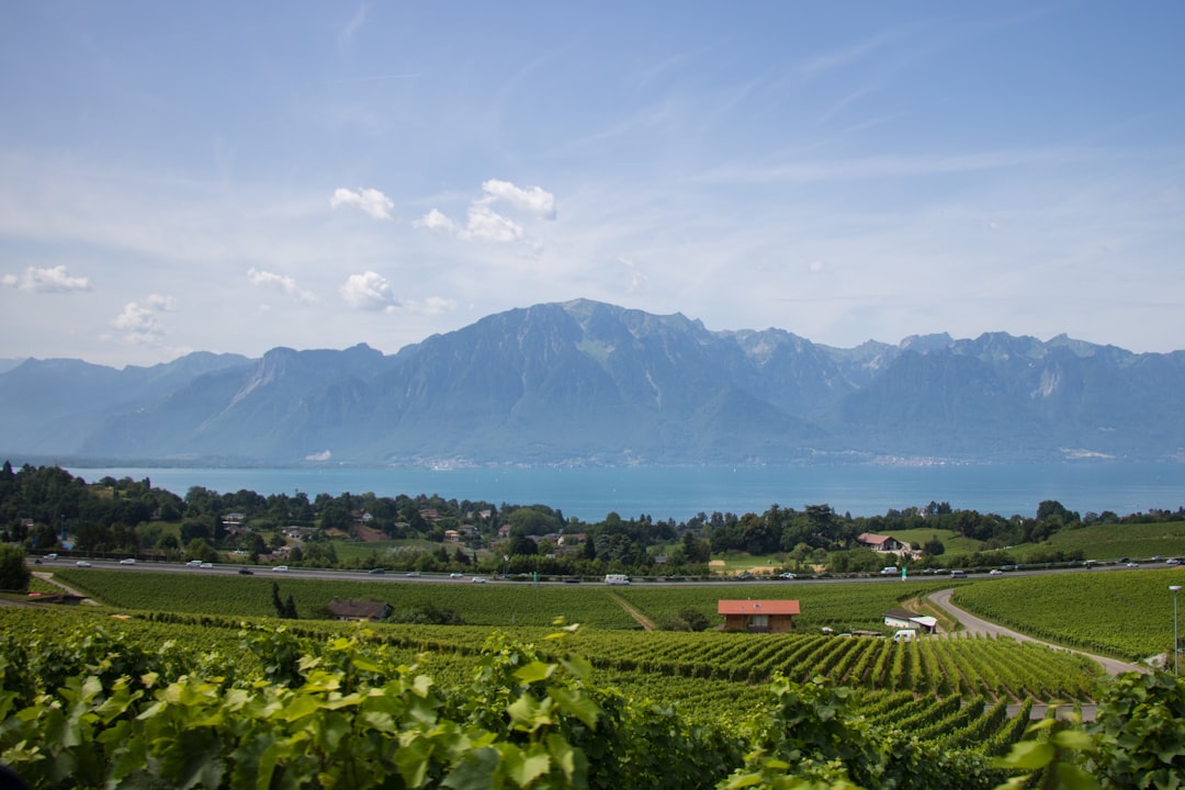 Château d'Ouchy: Ein verstecktes Juwel in der Schweiz - Pl. du Port | Secret World Trip Planner