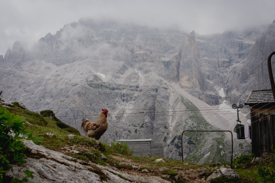 Sesto: Ein verborgenes Paradies in den Dolomiten - 39030 Sesto BZ | Secret World Trip Planner