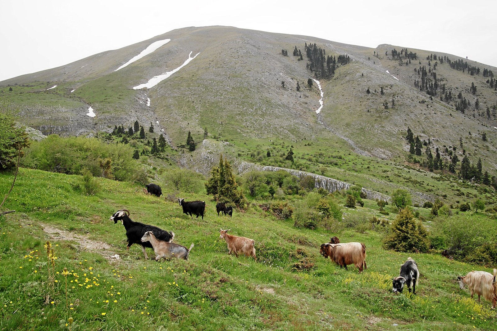 Ossa: Un gioiello naturale nel cuore della Grecia - QMWP+73 Lakeria | Secret World Trip Planner