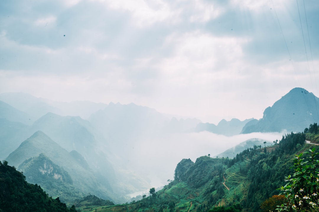 Entdecken Sie den Son Tra Berg: Ein Naturparadies in Vietnam - Son Tra | Secret World Trip Planner