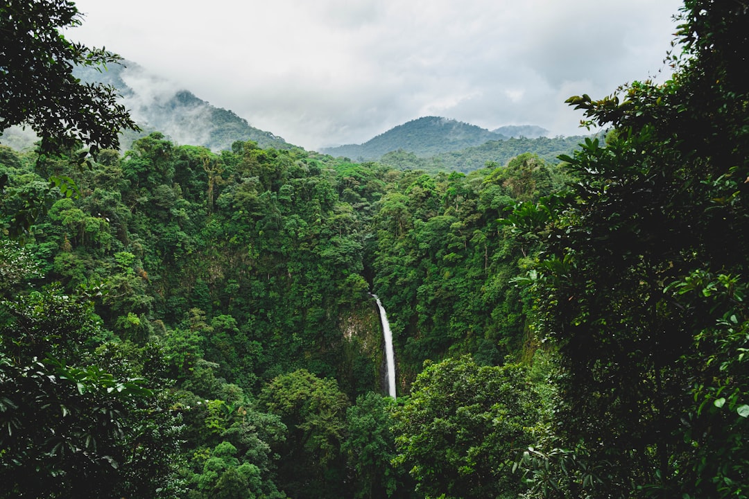 Cascades cachées de Fortuna : une oasis verte — Provincia di Alajuela