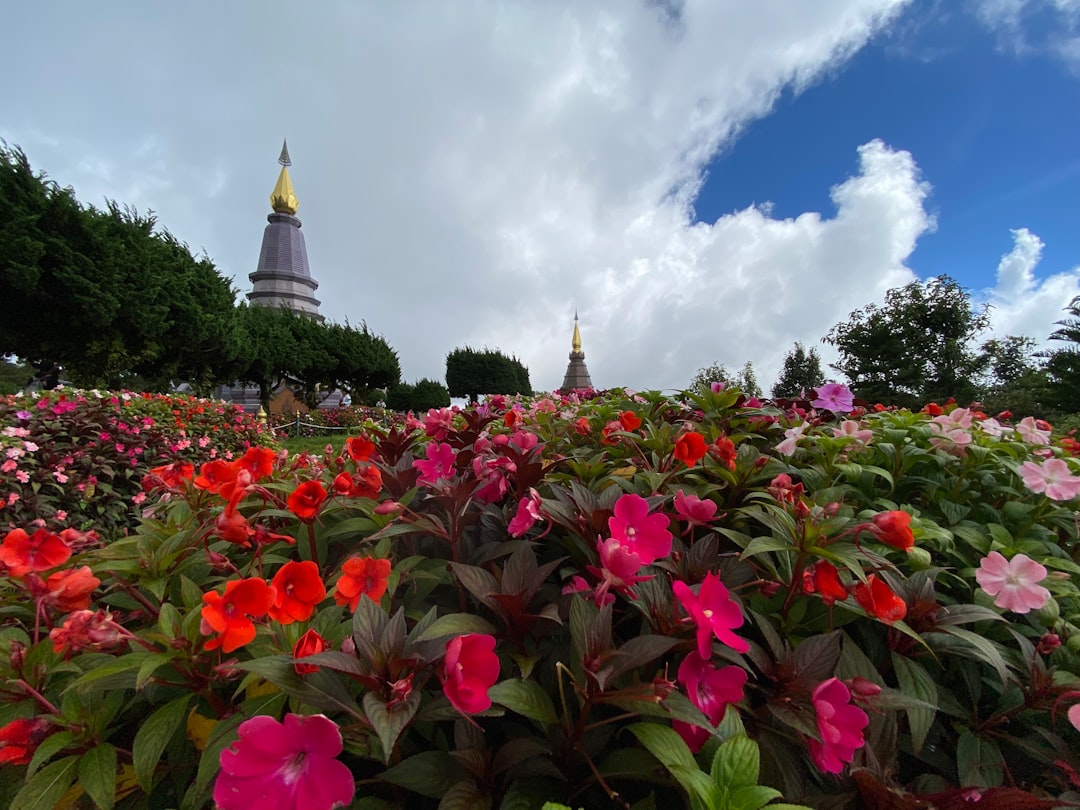 Doi Inthanon: La cima más alta de Tailandia para explorar - Amphoe Mae Chaem | Secret World Trip Planner
