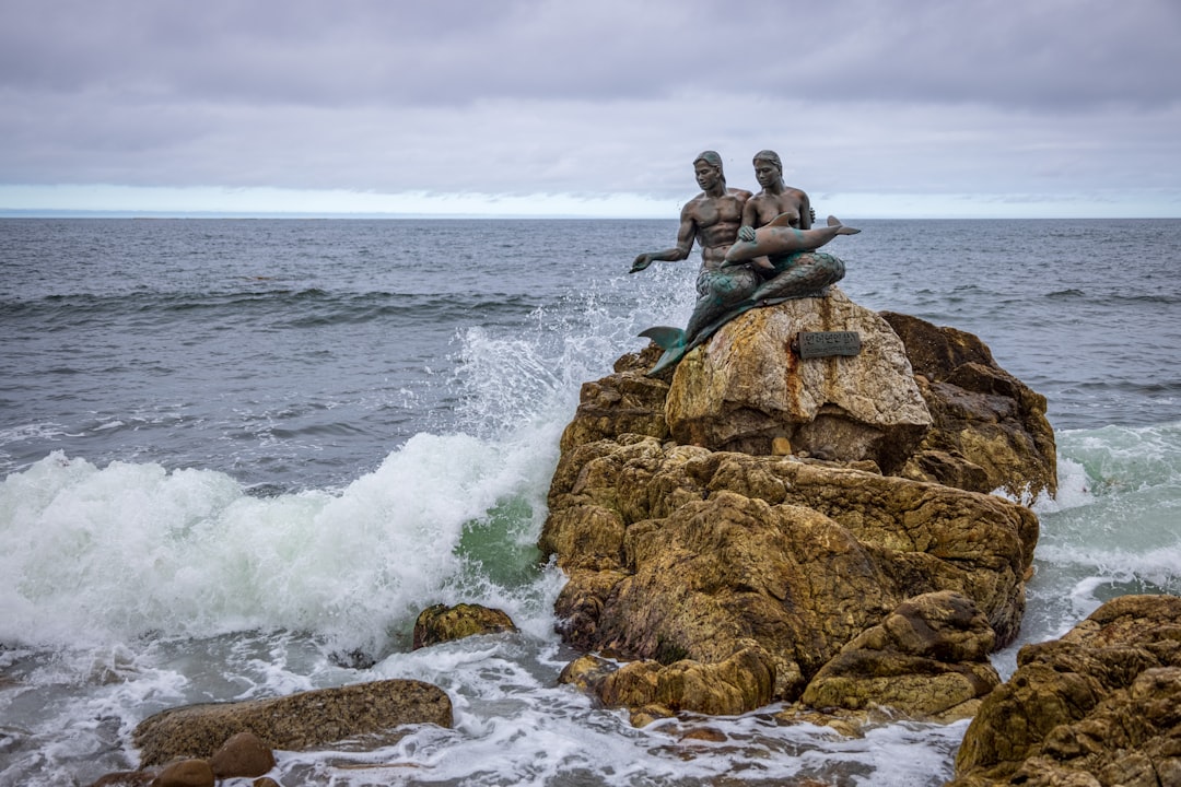 Sculture sul Mare: Arte e Natura a Surry Hills - 302/61 Marlborough St | Secret World Trip Planner